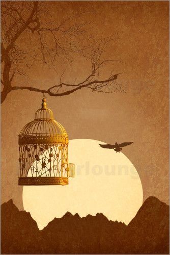 Monika Jüngling | Freedom From the Golden Cage Cage Art, Golden Cage, Sweet Drawings, Scenery Photography, Blue Aesthetic Pastel, Bird Cages, Gifts For An Artist, Bird Drawings, Art Painting Acrylic