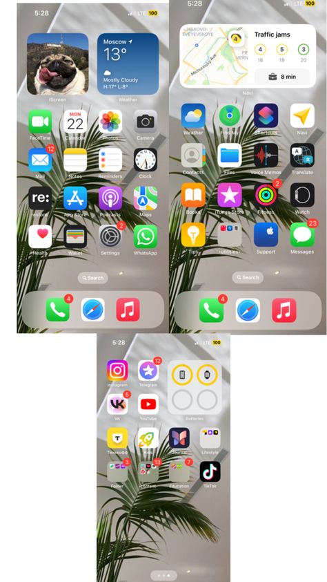 Iphone Home Screen Ideas, Organize Apps On Iphone, Organize Phone Apps, Ios App Iphone, Organization Apps, Iphone Organization, Iphone App Layout, App Layout, Iphone Photo App