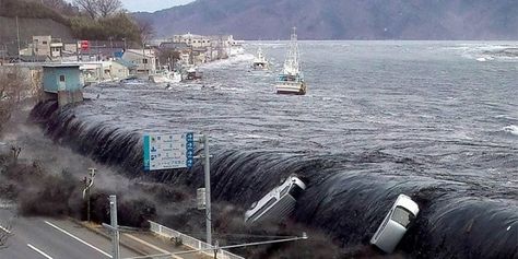 Zunami Tsunami Waves, Monte Fuji, Wild Weather, Forces Of Nature, Force Of Nature, Natural Disaster, Vicks Vaporub, Shiga, Fukushima