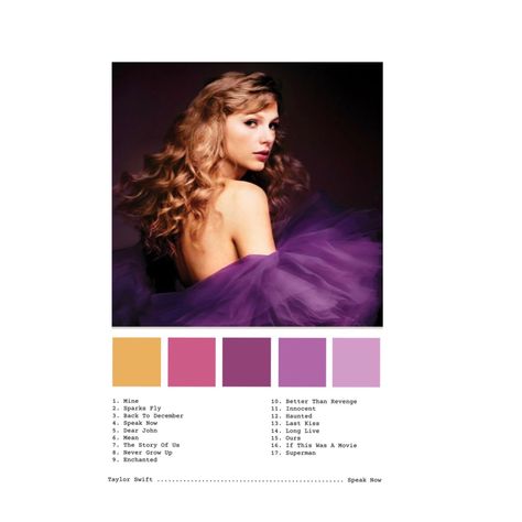 Speak Now Taylors Version Color Palette, Speak Now Color Palette Taylor Swift, Speak Now Color Palette, Speak Now Taylors Version, Concert Bracelets, Taylor Songs, Taylor Swift Speak Now, Swift Lyrics, Taylors Version