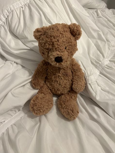 Medium Teddy Bear, Cute Bear Stuffed Animal, Jelly Cat Bear, Jellycats Aesthetic, Soft Cozy Aesthetic, Jellycat Bear, Bear Jellycat, Jellycat Stuffed Animals, Cute Squishies