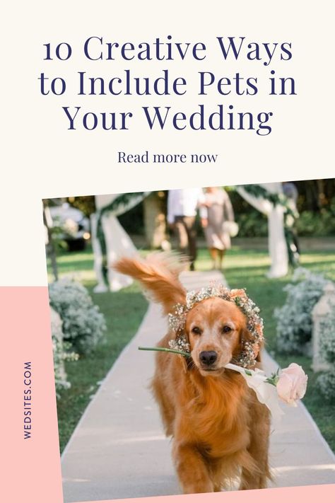 Pet Friendly Wedding Ideas, Include Dog In Wedding, Cat In Wedding, Gift Registry Wording, Pet Wedding Ideas, Dog Themed Wedding, Wedding Dog Ideas, Dog In Wedding, Wedding Planning Tools