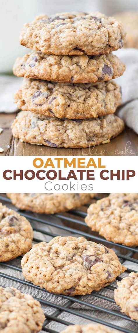 The only oatmeal cookie recipe you will ever need! Soft and chewy oatmeal chocolate chip cookies loaded with oats and chocolate chips! | livforcake.com Nestle Toll House Oatmeal Chocolate Chip Cookies, Quick Oats Chocolate Chip Cookies, Chocolate Cup Oatmeal Cookies, Oatmeal Cookies Brown Butter, Stevia Oatmeal Cookies, Quick Oatmeal Chocolate Chip Cookies, Oat Cookies Chocolate Chip, Gluten Free Oatmeal Choc Chip Cookies, Regular Oatmeal Recipes