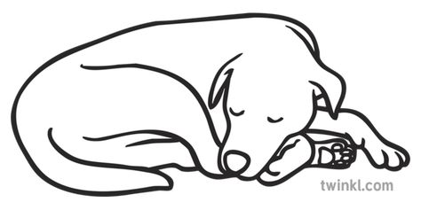 Dog Curled Up Sleeping Pet Asleep KS1 Black and White Illustration - Twinkl Dog Line Drawing, Sleeping Drawing, Dog Line Art, Dog Sleeping, Dog Sketch, 강아지 그림, Black And White Dog, Up Dog, White Illustration