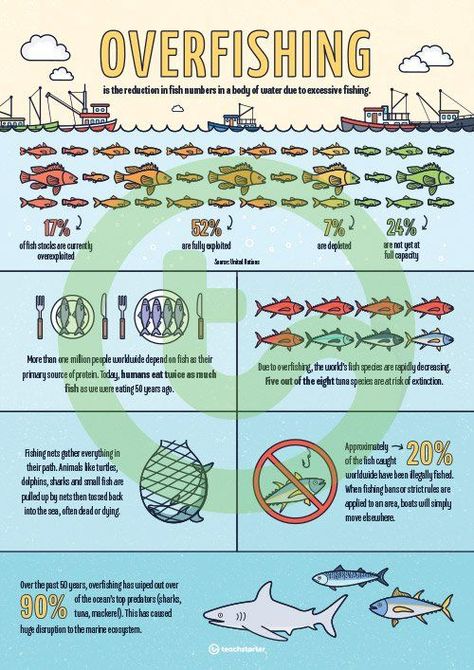 Overfishing Poster, What Is An Infographic, Pencemaran Udara, Infographic Inspiration, Teaching Posters, Infographic Poster, Save Our Oceans, Teaching Biology, Environmental Justice