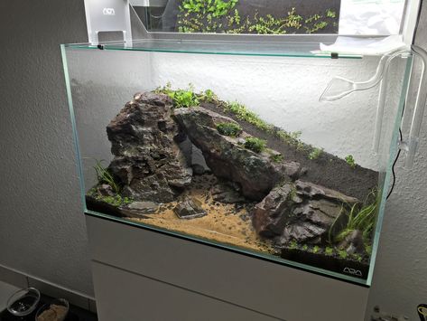 Almost there... | Have to buy some additional Staurogyne, Ro… | Flickr Turtle Aquarium, Aquarium Garden, Amazing Aquariums, Fish Tank Terrarium, Cool Fish Tanks, Aquascape Design, Fish Tank Design, Tropical Fish Tanks, Aquarium Terrarium