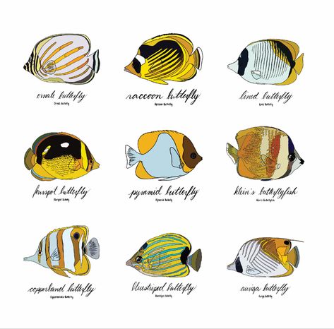 Different species of tangs drawn procreate with tge specific species written below in cursive and print. Find this illustration and other like it on my redbubble as stickers, sweatshirts and much more. This illustration can be found as a set, like shown above, as well as singles. Follow my instagram (linked in bio) for first looks. Butterfly Fish Drawing, Butterfly Fish Tattoo, Science Drawing, Fish Stickers, Scientific Drawing, Tang Fish, Fish Keeping, Drawn Fish, Butterfly Fish