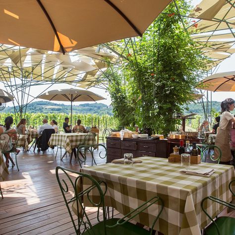 Where to eat in Tuscany: the best wineries Tuscany Restaurants, Tuscany Wineries, Wine Bistro, Greve In Chianti, Villas In Italy, Santa Margherita, Italy Vacation, Fine Wine, Wine Cellar