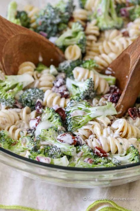 Broccoli Pasta Salad Cookout Foods, Broccoli Pasta Salad, Broccoli Pasta Salads, Pasta Sauce Homemade, Easy Grilled Chicken, Broccoli Salad Recipe, Greek Salad Pasta, Creamy Dressing, Cold Pasta Salad