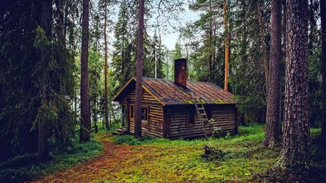 Bug Out Cabin Tips | How to Build the Ultimate Survival Shelter Bug Out Location, Wooden Hut, Diy Cabin, Survival Shelter, Wooden Cabins, Cabin In The Woods, Cabin Life, Off Grid Living, Cabins In The Woods