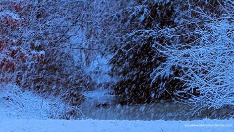 Snow Gif, Animated Banners, I Love Winter, Banner Gif, Snowy Day, Aesthetic Gif, Winter Aesthetic, Cute Gif, Daily Quotes