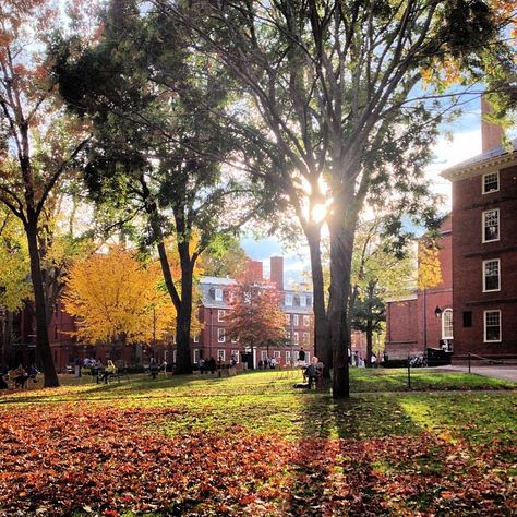 Education was a part of class stratification in The Great Gatsby. The wealthy went to school such as Harvard just because they could and if you hadn't gone to such a higher education center you would not be in the higher class. Harvard University Campus, Harvard Campus, Ivy League Aesthetic, Cambridge Boston, Harvard Yard, Boston History, Harvard College, Massachusetts Travel, College Aesthetic