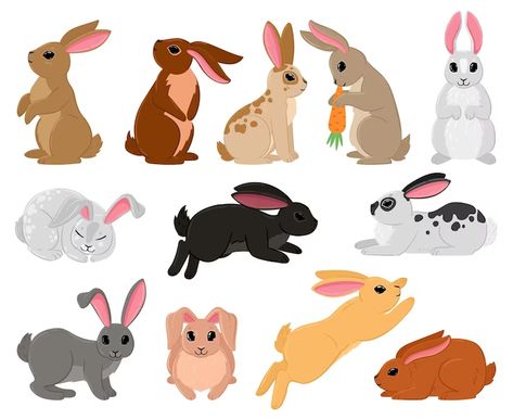 Rabbit Cartoon Drawing, Bunny Sitting, Easter Animals, Premium Vector Cartoon, Cute Rabbits, Rabbit Silhouette, Rabbit Vector, Traditional Easter, Cartoon Chicken