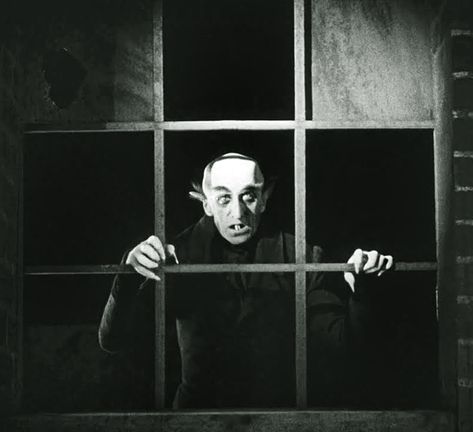 Nosferatu, German Film, 1922 Nosferatu 1922, Max Schreck, German Expressionism, Classic Sci Fi, Banner Gif, Classic Horror Movies, Classic Monsters, Universal Monsters, Vampire Knight