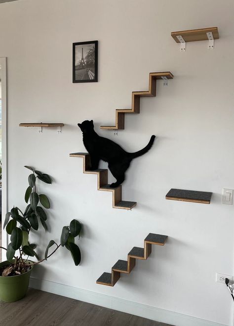 Cat Room Diy, Cat Climbing Wall, Cat Stairs, Niche Chat, Walnut Plywood, Cat Wall Furniture, Cat House Diy, Cats Case, Wall Furniture