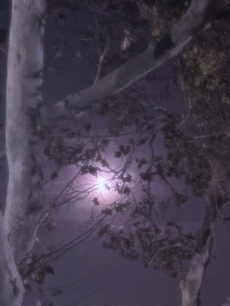 90s Aesthetic, My Photos, Mixtape, Full Moon, The Moon, Witch, Trees, Moon, Purple