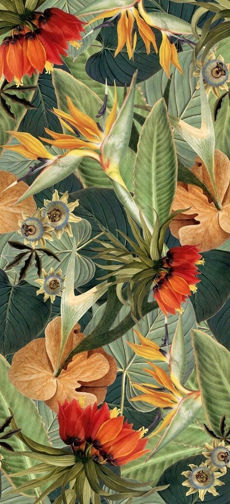 Good welp Trendy Flowers, Building Facade, Deco Floral, Pattern Illustration, Flowers And Leaves, Botanical Illustration, Tropical Print, Botanical Art, Botanical Prints