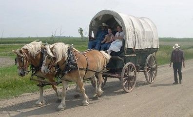 This is a picture of a covered wagon being pulled by two horses, also called a horse and buggie. This was the perferred way to travel on the Oregon Trail. The reson it was perferred is because you could transport alot of clothing, food, people or equipment from one place to another in less time than you could walking. Even though this method was quicker for travel alot of people still died to fevers, snakebites and othe obsticals while on the trail. Horse Transportation, Horse And Wagon, Horse Wagon, Horse Drawn Wagon, Inktober 2024, Old Wagons, Wedding Transportation, The Oregon Trail, Pull Cart