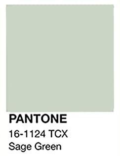 Green Color Swatch, Light Sage Green, Sage Green Color, Sage Color, 14th Birthday, Color Swatch, Dream House Decor, House Decor, Sage Green