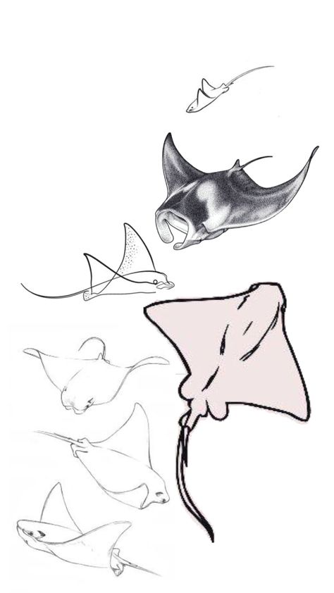 Stingray Reference, Sting Ray Tattoo Ideas, Watercolour Stingray, Mantaray Painting, Sting Ray Sketch, Cute Stingray Drawing, Sting Ray Drawings, Stingray Outline, Mantaray Drawing