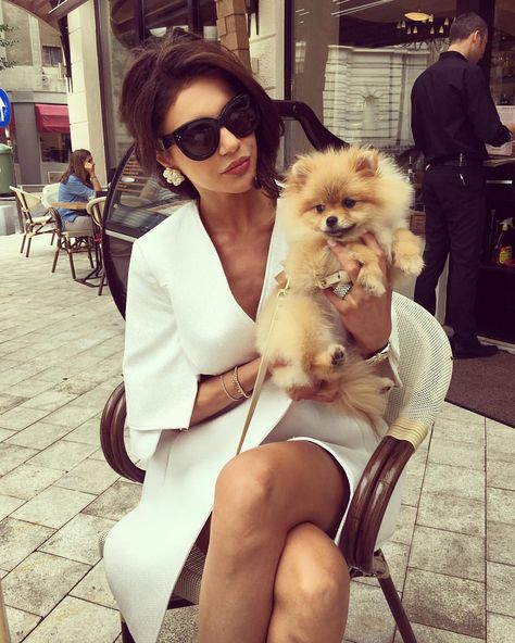 Boujee Dog Stuff, Boujee Dog, Boujee Puppy, Boujee Puppy Aesthetic, Baddie With Puppy, Rich Dog, Boujee Lifestyle, Girl And Her Dog Aesthetic, White Pomeranian