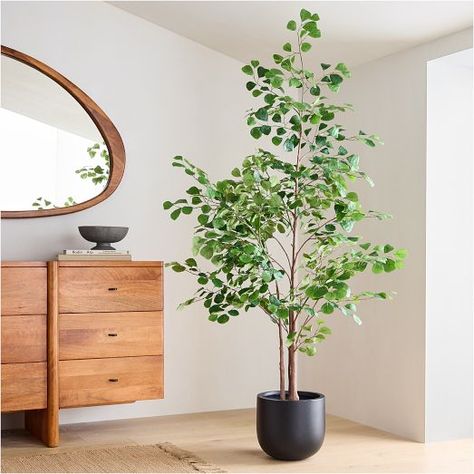 All Plants & Flowers | West Elm Entry Way Trees, Large Faux Plants, Faux Ficus Tree Home Decor, Faux Trees Indoor Living Room, Ficus Tree Indoor, Faux Trees, Potted Olive Tree, Plant Inspiration, Tree Pot