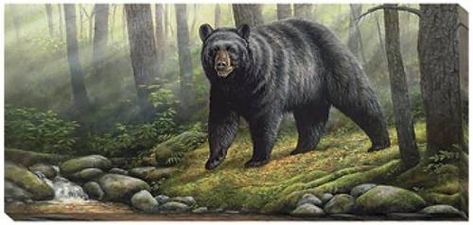 Streamside Black Bear Wrapped Canvas Art Black Bear Art, Brown Bear Illustration, Black Bears Art, Farmhouse Artwork, Birch Tree Art, Bear Paintings, Wildlife Paintings, Nature Painting, Bear Art