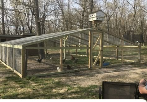 Chicken Shelter, Chicken Board, Poultry Farm Design, Chicken Enclosure, Walk In Chicken Coop, Chicken Coop Garden, Chicken Barn, Chicken Coup, Backyard Chicken Coop Plans