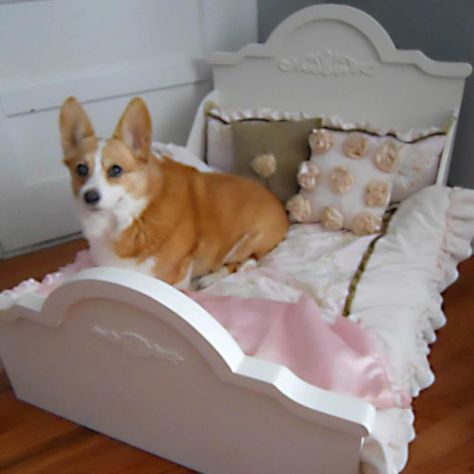 Diy Dog Bed Frame, Dog Canopy Bed, Pvc Dog Bed, Suitcase Dog Bed, Dog Beds Diy, Diy T Shirt Quilt, Animal Shelter Ideas, Fancy Dog Beds, Dog Beds Homemade