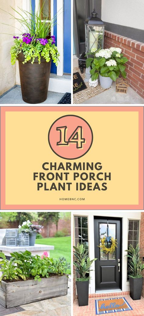 Front porch plants in planter arrangements may be a simple way to add some extra color to your home's exterior decor. These planters have a very neutral appearance, making them suitable for various occasions and seasons. Nonetheless, it might be difficult to come up with fresh ideas for front porch planters. Fortunately, we've discovered some amazing porch planter designs that are absolutely worth a shot! Porch Plant Decor, Front Porch Plant Ideas, Colorful Front Porch, Front Porch Planter Ideas, Porch Planter Ideas, Plant Decor Ideas, Porch Planter, Front Door Planters, Front Porch Plants