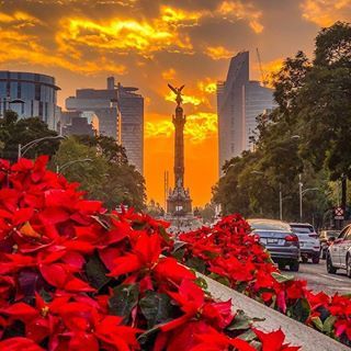 #photography hashtag on Instagram • Photos and Videos Mexico Country, Explore Mexico, Mexico Culture, Visit Mexico, México City, World Photography, Mexican Culture, City Landscape, Mexico Travel