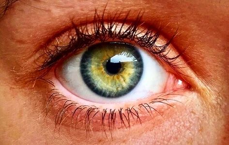 Picture Eyes, Green Blue Eyes, Blue And Green Eyes, Yellow Green Eyes, Had To, Hazel Green Eyes, Eye Study, Eye Facts, Beautiful Eyes Color