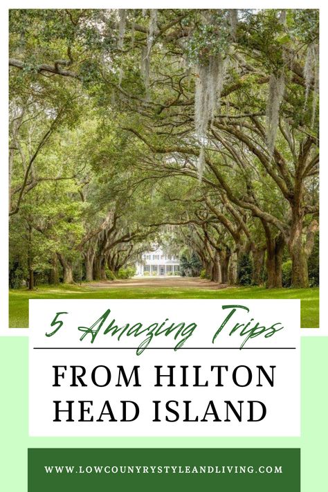 5 Amazing Trips From Hilton Head Island Things To Do In Hilton Head Sc, Hilton Head Family Vacation, Hilton Head Island Things To Do, Hilton Head With Kids, Things To Do On Hilton Head Island, South Carolina Lighthouses, Day Trips From Hilton Head Island, Hilton Head Bike Trails, Hilton Head South Carolina