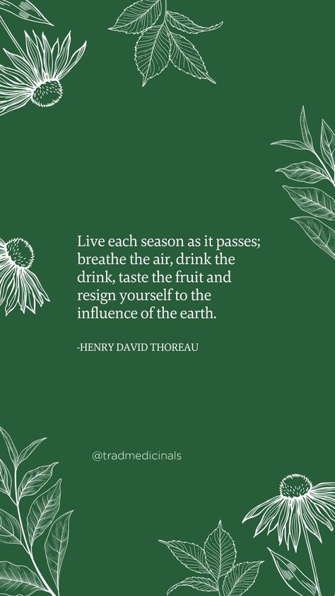 Herbal Quotes, Be Here Now, Worship God, Henry David Thoreau, Mindful Living, Christian Women, Instagram Quotes, How To Become, Spirituality