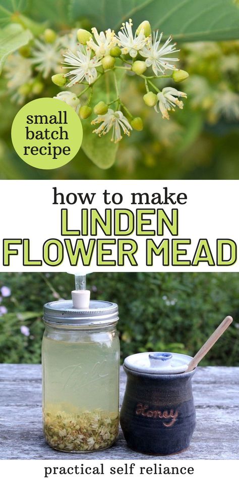 Mead Recipes, Mead Making, Mead Wine, How To Make Mead, Mead Recipe, Moonshine Recipes, Fermentation Recipes, Homemade Wine, Fermented Drink