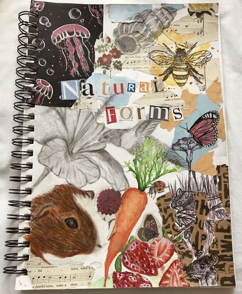 Artist Title Ideas, Sustain Investigation Art, Gcse Art Textiles Sketch Books, Title Page Art A Level, Textile Art Journal, Title Page Ideas Sketchbook, Gcse Art Inspiration Page, Art Gcse Coursework, Art And Craft Book Cover Design