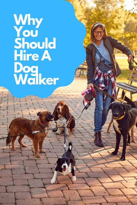 If your like many pet owners, the thought of hiring a stranger to visit your home while your away can be quite daunting. You also may be wondering how to pick the right dog walker for your pet. Should you hire a dog walker? Yes, only if you have the means to do so. The benefits of having your dog walked while you are away are huge. Your dog will be able to socialize, exercise, and add some enjoyment to their day of usually being alone. #pets #dogs #animals #bostonterriers #bostonterrier Dog Walking Services, Dog Corner, Dog Walker Gift, Dog Activities, Dog Blog, Make A Person, Pet Safety, Dog Walker, Dog Sitting