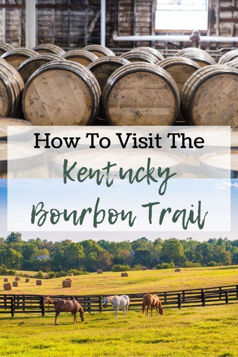 Discover the Ultimate Guide to Visiting the Kentucky Bourbon Trail! 🥃✨ Discover the best distilleries to visit, scenic routes in Kentucky, and insider tips for an unforgettable adventure. #KentuckyBourbonTrail #BourbonLovers #TravelGuide #DistilleryTours #VisitKentucky #BourbonTrailTips #AdventureAwaits #TravelInspiration #WhiskeyTasting #KentuckyTravel Bourbon Tour, Kentucky Vacation, Space The Final Frontier, Kentucky Bourbon Trail, Kentucky Travel, Kentucky Bourbon, American Travel, The Final Frontier, Louisville Kentucky