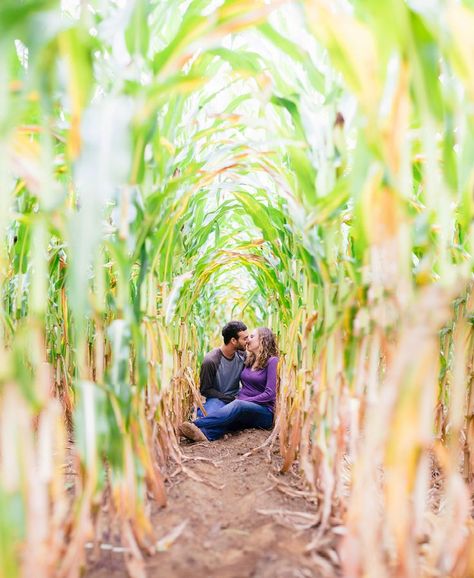 Farm Engagement Photos, Corn Field, Country Engagement, Engagement Photos Fall, Foto Tips, Fall Photoshoot, Wedding Engagement Photos, Photo Couple, Fall Engagement