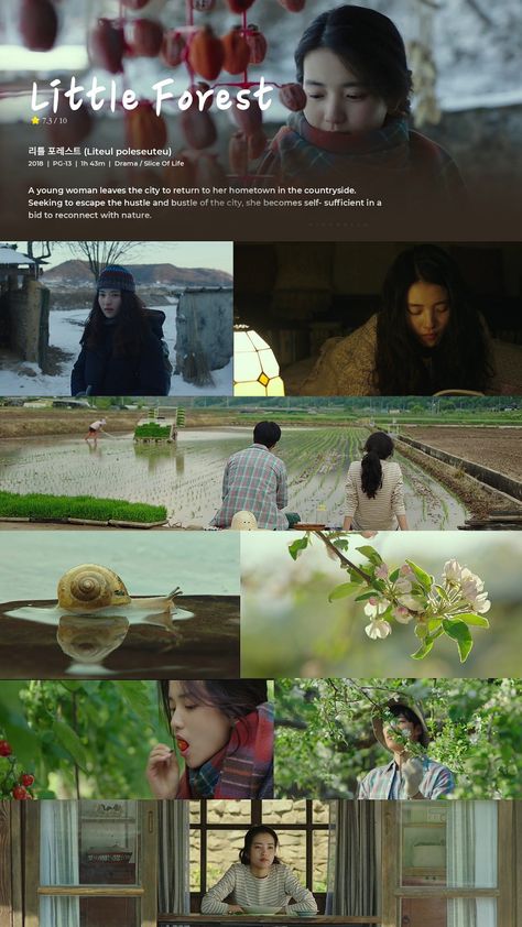 Countryside Movies, Little Forest Movie Aesthetic, Reconnecting With Nature, Little Forest Movie, Into The Forest Movie, Nature Film, Movie Synopsis, Film Recommendations, Little Forest