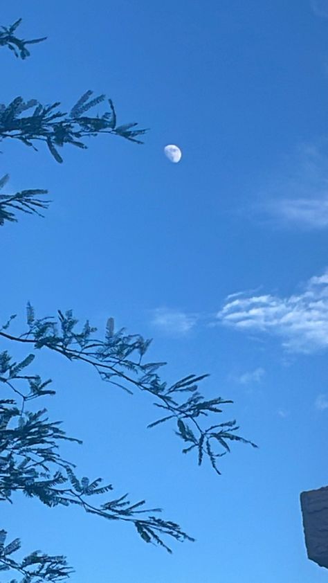 Moon In Daylight, Moon Nature, Paint Inspo, Photography Sky, Moon Photos, Sky Moon, The Moon, The Outsiders, Moon