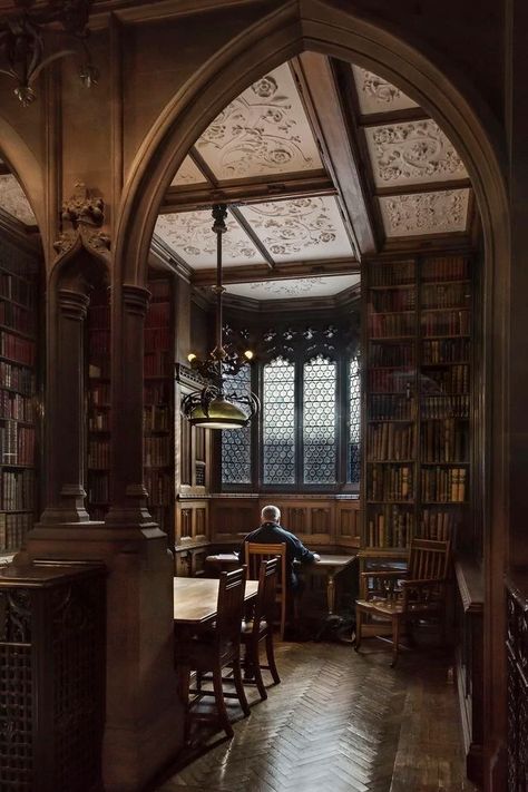 House Aesthetics, Potter House, Dark Acadamia, Books Decor, Dream Library, Library Aesthetic, Hogwarts Aesthetic, Dark Academia Aesthetic, Academia Aesthetic