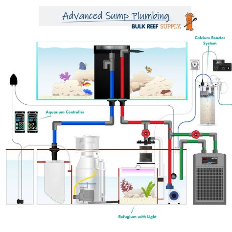 What Is A Sump? - Filtration and Refugiums For Your Aquarium - Bulk Reef Supply 40 Gallon Aquarium, Saltwater Aquarium Setup, Aquarium Sump, Sump Tank, Plumbing Diagram, Aquarium Cabinet, Marine Tank, Tropical Fish Aquarium, Aquarium Heater