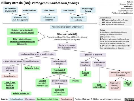 Biliary Atresia (BA): Pathogenesis and clinical findings | Calgary Guide Biliary Atresia, Bile Duct, Critical Care, Fitness Advice, Nurse Life, Calgary, Health Tips, Nursing, Disease