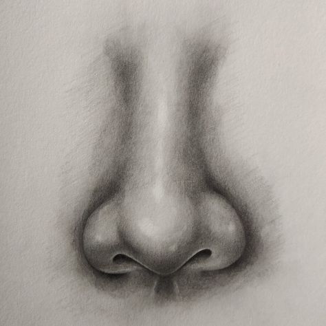 Nose Front View, How To Draw Nose, Draw Nose, Nose Drawing, Front View, Pencil Drawing, To Draw, I Hope, Pencil