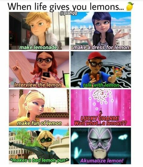 Tikki Y Plagg, Miraculous Memes, Ladybug And Cat Noir, Miraculous Ladybug Oc, Funny Disney Jokes, Miraculous Ladybug Memes, Miraculous Ladybug Wallpaper, Ladybug Anime, Miraculous Ladybug Fanfiction