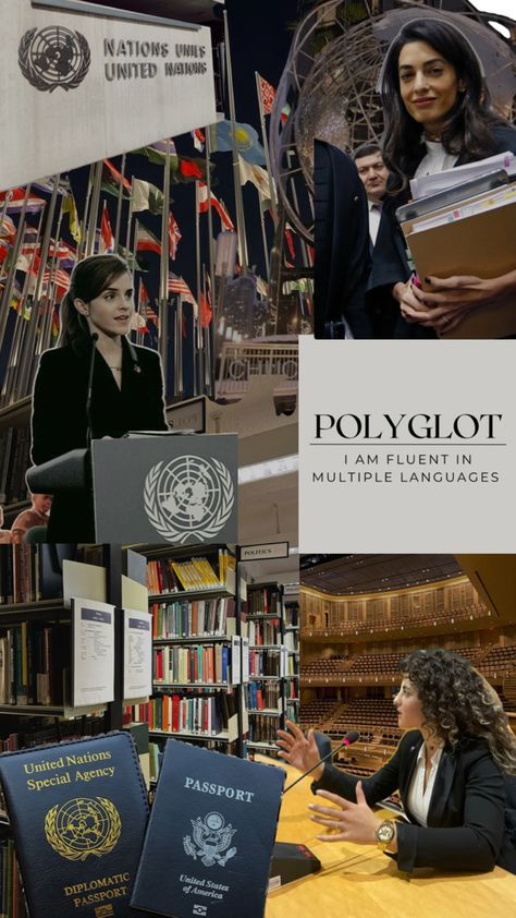 Foreign Study Aesthetic, International Relations Vision Board, International Business Career Aesthetic, Internships Aesthetic, Embassy Aesthetic, Polítics Aestethic Woman, Government Job Aesthetic, Polyglot Aesthetic Vision Board, Public Policy Aesthetic