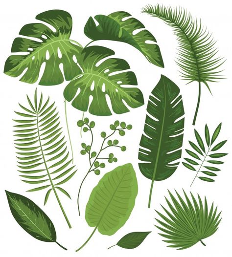 Beautiful Pencil Drawings, Garden Tropical, Wall Murals Diy, Leaf Clipart, Leaf Drawing, Leaves Vector, Leaves Print, Illustration Style, Plant Drawing