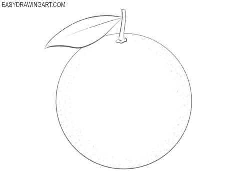 How to Draw an Orange Easy | Easy Drawing Art Orange Simple Drawing, Simple Orange Drawing, Orange Pencil Drawing, Orange Drawing Simple, Drawing In Circle, Orange Drawing, Nitrogen Fixing Plants, Fruit Coloring, Fruit Sketch