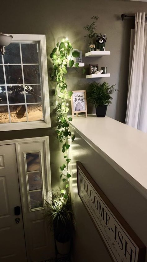 Houseplant Central | Here’s your sign to add fairy lights to your pothos 😍🪴🧚🏻 | Facebook Fairy Lights Bathroom, Painting Wood Paneling, Basement Makeover, Tiny House Decor, New Condo, Room With Plants, Finishing Basement, Dream Room, Home Decor Kitchen